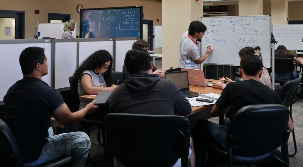 Embedded Tutor Program